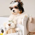 Photo 3 de Chanel