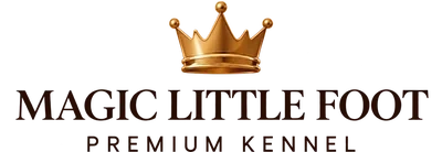 Magic Little Foot Premium Kennel