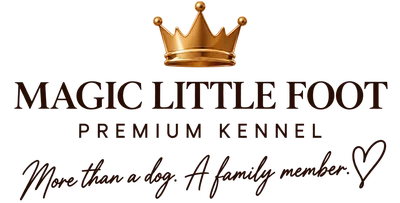Magic Little Foot Premium Kennel